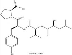 多肽的副作用是什么？